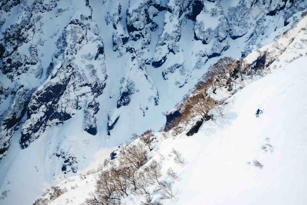 solo skier in blue makes a fresh track down a snowy face under a birch-lined ridgeline