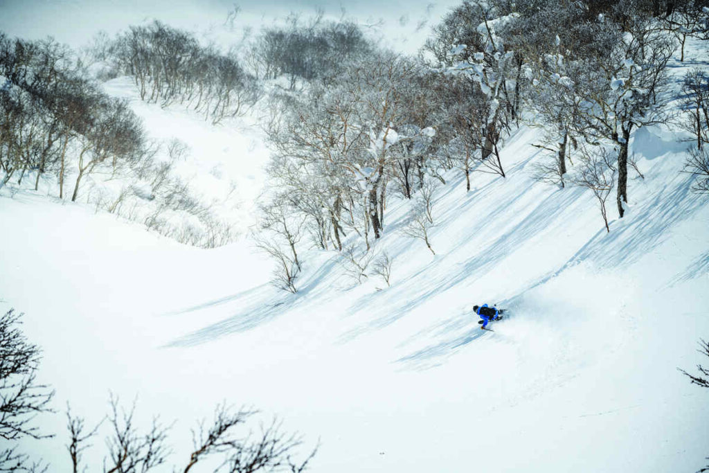 a skier in blue, skis an untouched mellow half-pipe/gully, surrounded by snowy birch trees, on Mt Rishiri