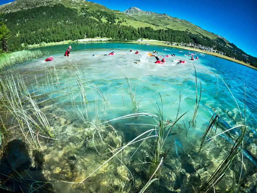 A blue alpine lake is pictured with green hills behind, whilst dozens of swimmers set off from the shore in a race