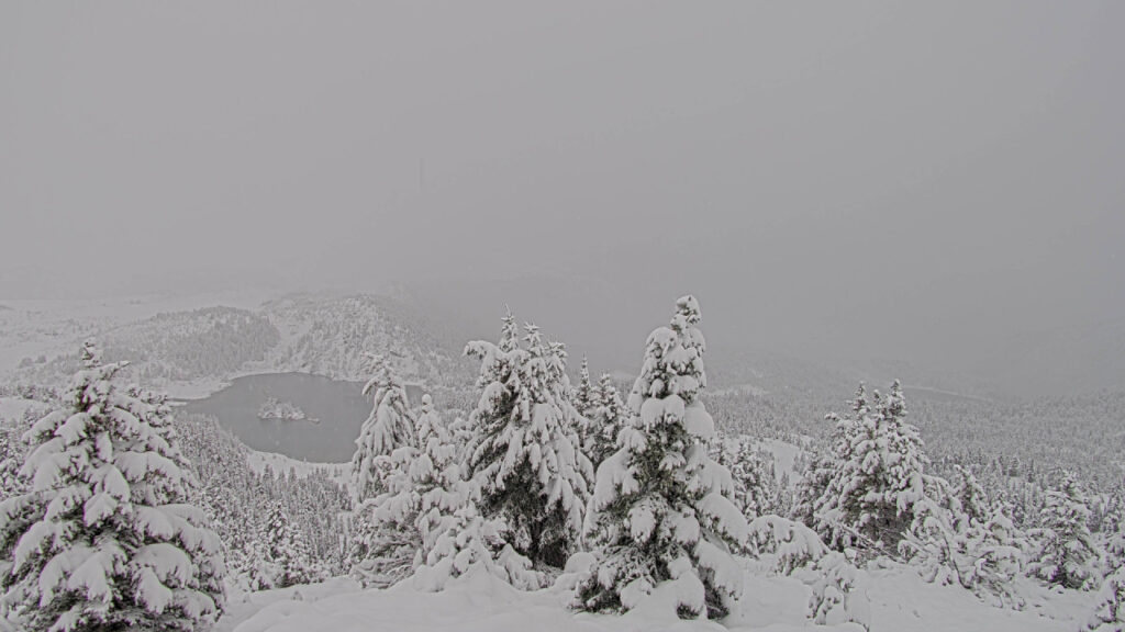 snow covered trees above a lake