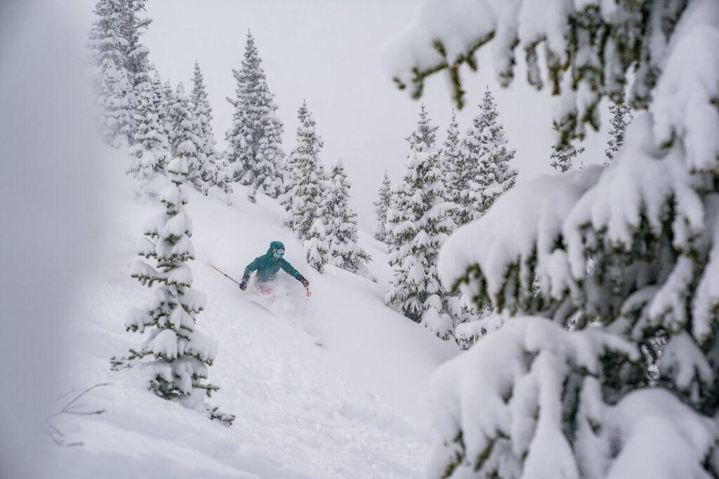 fresh snow on tree branches, ski slope and falling as a solo skier makes deep turns off-piste