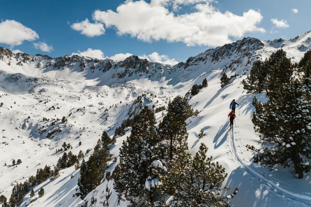 Skiers Exploring Backcountry in Andorra: Two skiers making their way through pristine snow and tree-lined slopes in the Andorran backcountry.